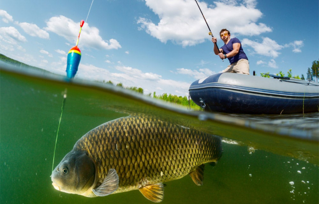 Por qué se celebra el Día del Pescador Deportivo